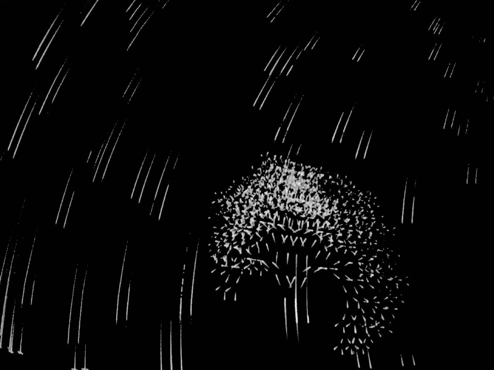 Music Rain