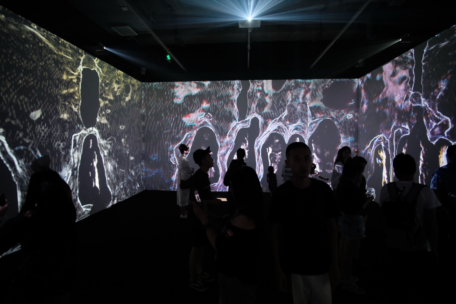 2018 Xcelerator超级对撞¹º Exhibition